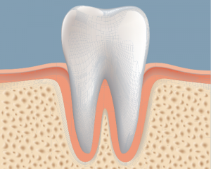 littlemediumbigbonegraft